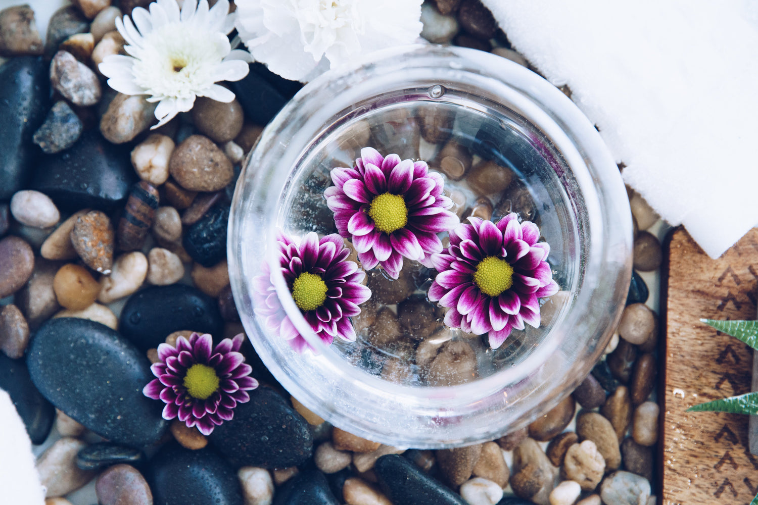 Picture of small purple flowers in and around a jar